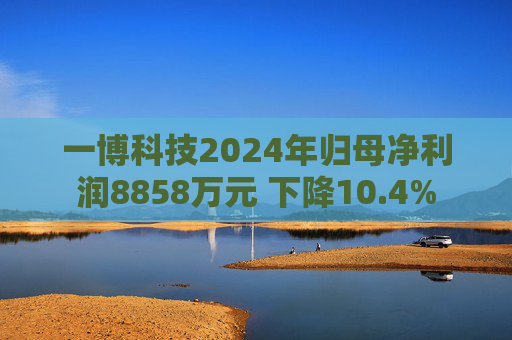 一博科技2024年归母净利润8858万元 下降10.4%