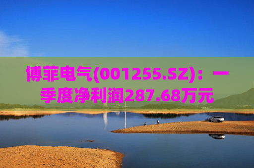 博菲电气(001255.SZ)：一季度净利润287.68万元