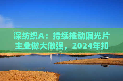 深纺织A：持续推动偏光片主业做大做强，2024年扣非归母净利润增长23.58%