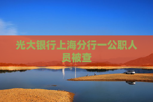 光大银行上海分行一公职人员被查  第1张