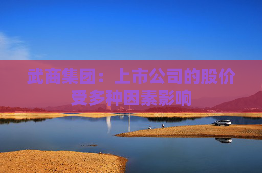 武商集团：上市公司的股价受多种因素影响