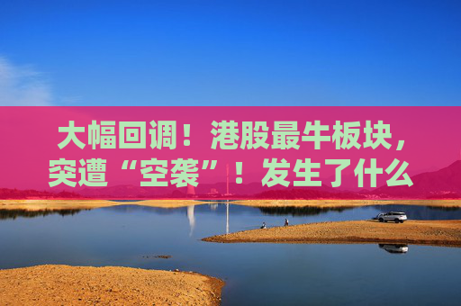 大幅回调！港股最牛板块，突遭“空袭”！发生了什么？