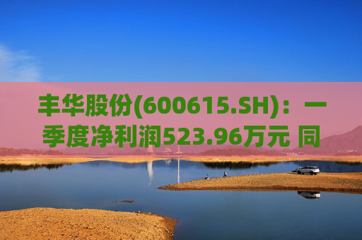 丰华股份(600615.SH)：一季度净利润523.96万元 同比增长645.11%