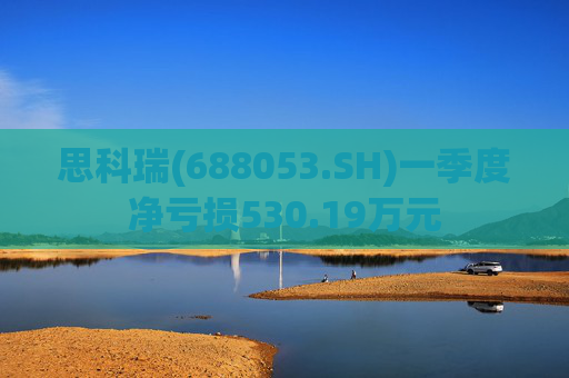 思科瑞(688053.SH)一季度净亏损530.19万元