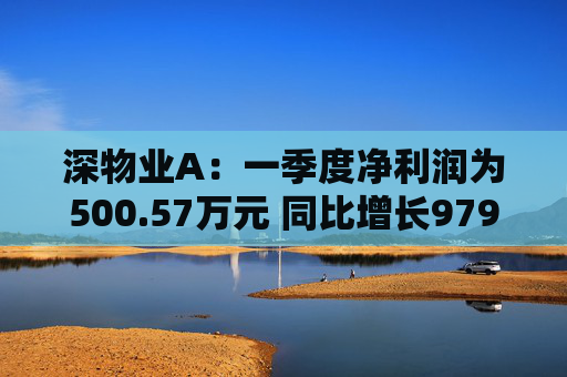 深物业A：一季度净利润为500.57万元 同比增长979.79%