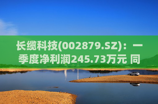 长缆科技(002879.SZ)：一季度净利润245.73万元 同比下降84.88%  第1张
