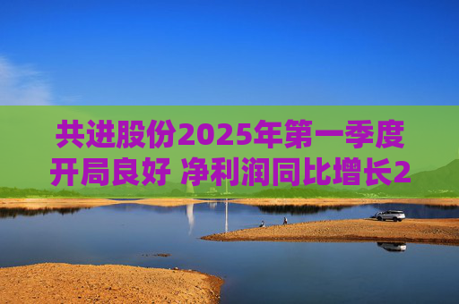 共进股份2025年第一季度开局良好 净利润同比增长267.63%