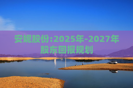 安妮股份:2025年-2027年股东回报规划