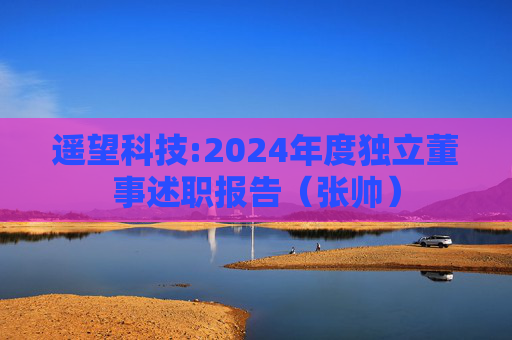 遥望科技:2024年度独立董事述职报告（张帅）