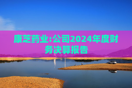 康芝药业:公司2024年度财务决算报告