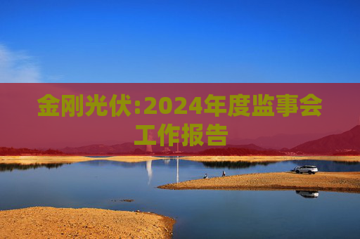 金刚光伏:2024年度监事会工作报告