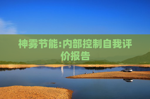 神雾节能:内部控制自我评价报告