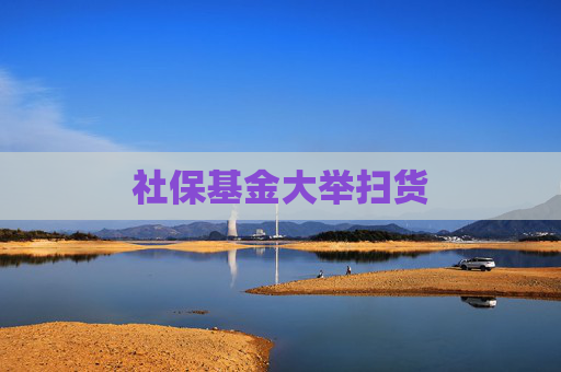 社保基金大举扫货