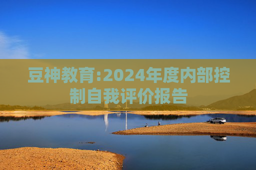 豆神教育:2024年度内部控制自我评价报告