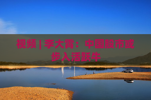 视频 | 李大霄：中国股市或步入活跃牛  第1张