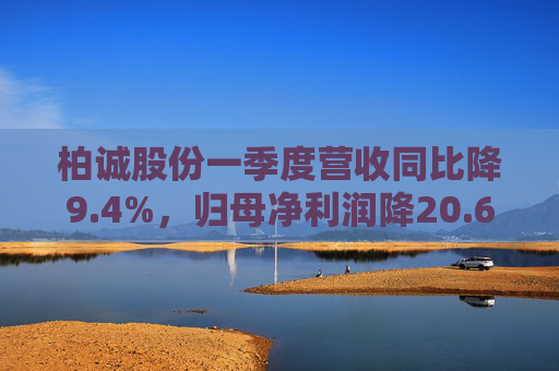 柏诚股份一季度营收同比降9.4%，归母净利润降20.6%