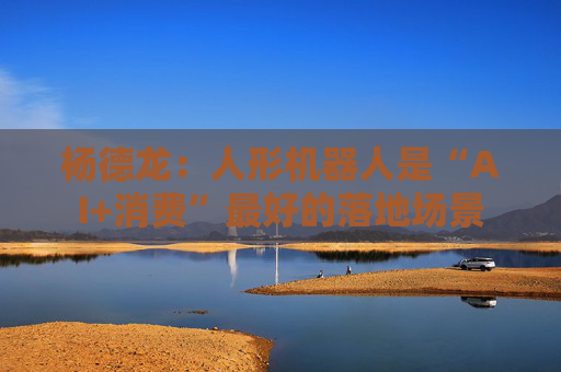 杨德龙：人形机器人是“AI+消费”最好的落地场景