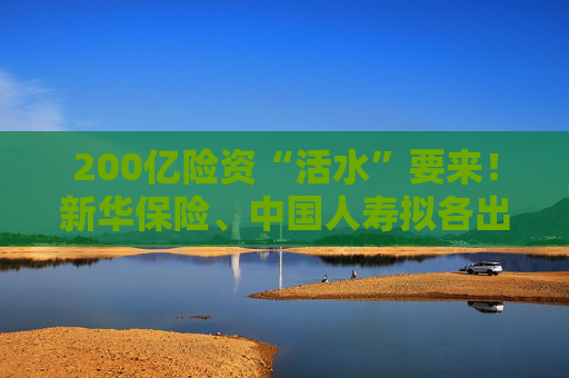 200亿险资“活水”要来！新华保险、中国人寿拟各出资100亿元认购二期鸿鹄基金