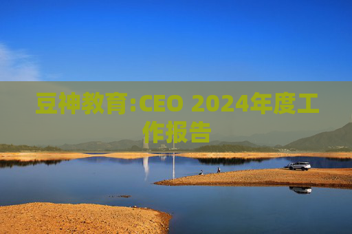 豆神教育:CEO 2024年度工作报告