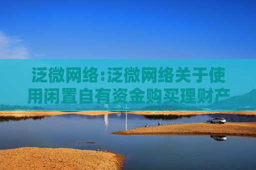 泛微网络:泛微网络关于使用闲置自有资金购买理财产品的公告