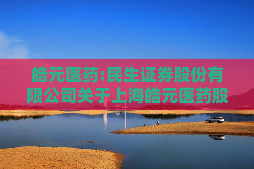 皓元医药:民生证券股份有限公司关于上海皓元医药股份有限公司申请2025年度综合授信及为子公司提供担保的核查意见