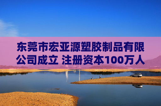 东莞市宏亚源塑胶制品有限公司成立 注册资本100万人民币