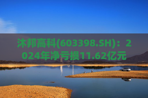 沐邦高科(603398.SH)：2024年净亏损11.62亿元