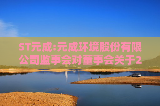 ST元成:元成环境股份有限公司监事会对董事会关于2024年度保留意见审计报告和带强调事项段的无保留意见内部控制审计报告涉及事项的专项说明