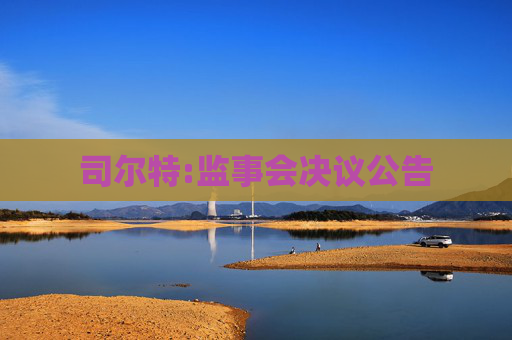 司尔特:监事会决议公告  第1张