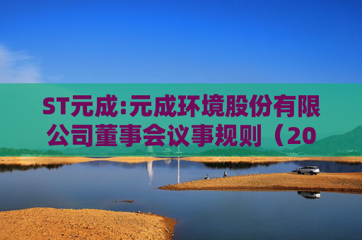 ST元成:元成环境股份有限公司董事会议事规则（2025年4月修订）