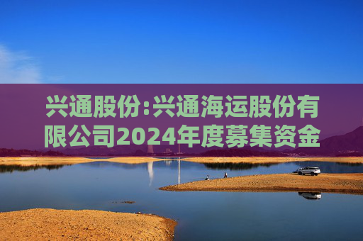 兴通股份:兴通海运股份有限公司2024年度募集资金存放与实际使用情况专项报告