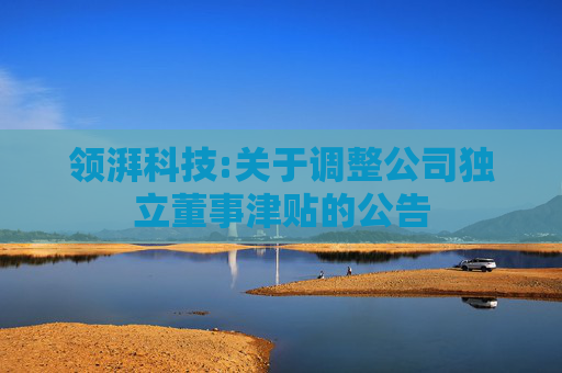 领湃科技:关于调整公司独立董事津贴的公告