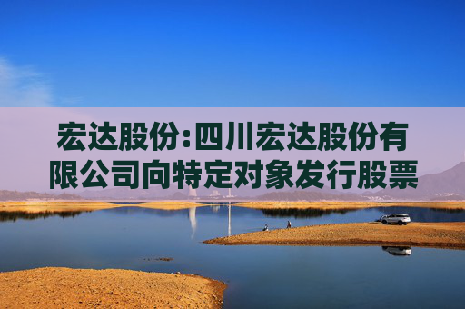 宏达股份:四川宏达股份有限公司向特定对象发行股票募集说明书（申报稿）（修订稿）