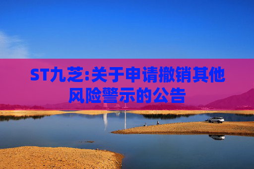 ST九芝:关于申请撤销其他风险警示的公告
