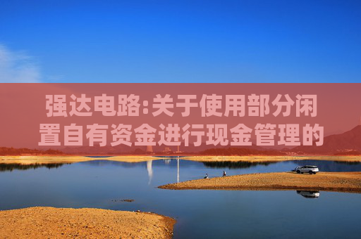 强达电路:关于使用部分闲置自有资金进行现金管理的进展公告