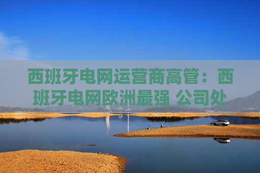 西班牙电网运营商高管：西班牙电网欧洲最强 公司处理方式没任何问题  第1张