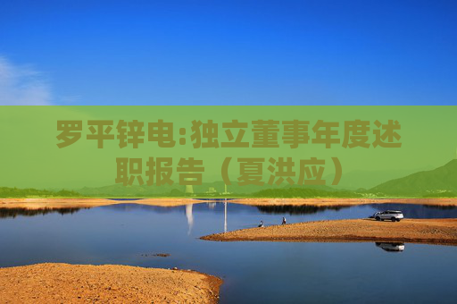 罗平锌电:独立董事年度述职报告（夏洪应）