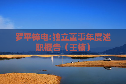 罗平锌电:独立董事年度述职报告（王楠）