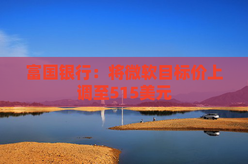 富国银行：将微软目标价上调至515美元