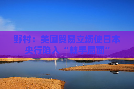 野村：美国贸易立场使日本央行陷入“棘手局面”