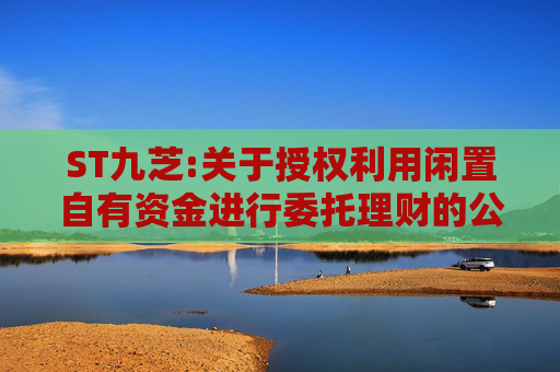 ST九芝:关于授权利用闲置自有资金进行委托理财的公告