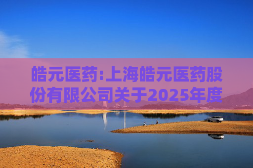 皓元医药:上海皓元医药股份有限公司关于2025年度日常关联交易预计的公告  第1张