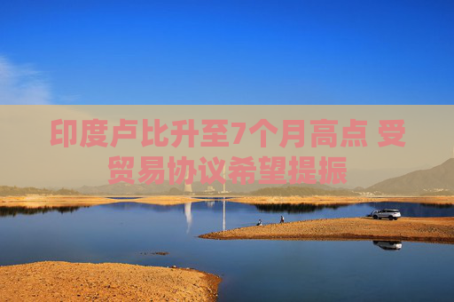 印度卢比升至7个月高点 受贸易协议希望提振