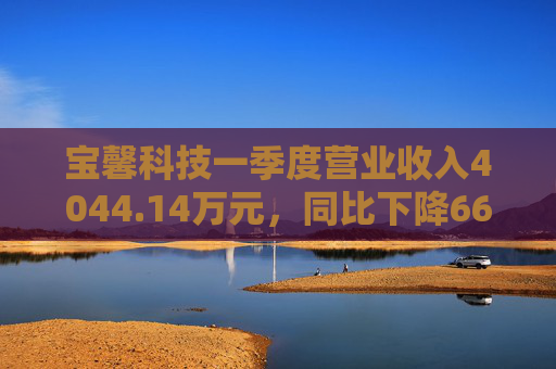 宝馨科技一季度营业收入4044.14万元，同比下降66.73%