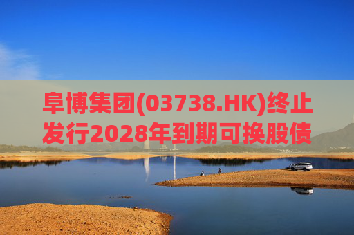 阜博集团(03738.HK)终止发行2028年到期可换股债券