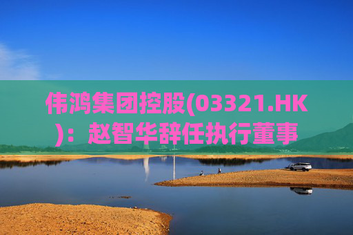 伟鸿集团控股(03321.HK)：赵智华辞任执行董事