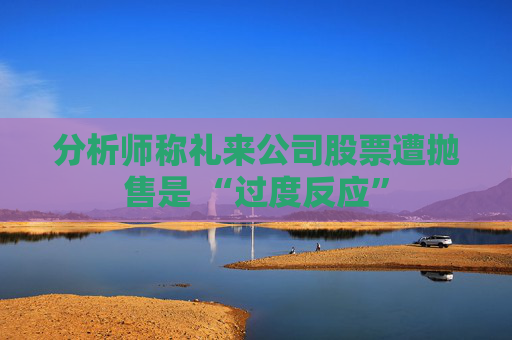 分析师称礼来公司股票遭抛售是 “过度反应”