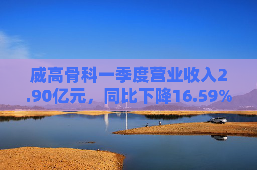 威高骨科一季度营业收入2.90亿元，同比下降16.59%