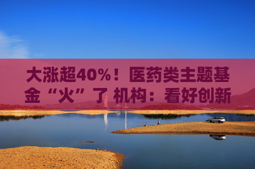 大涨超40%！医药类主题基金“火”了 机构：看好创新药投资机会