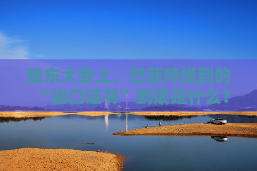 股东大会上，巴菲特提到的“进口证书”到底是什么？